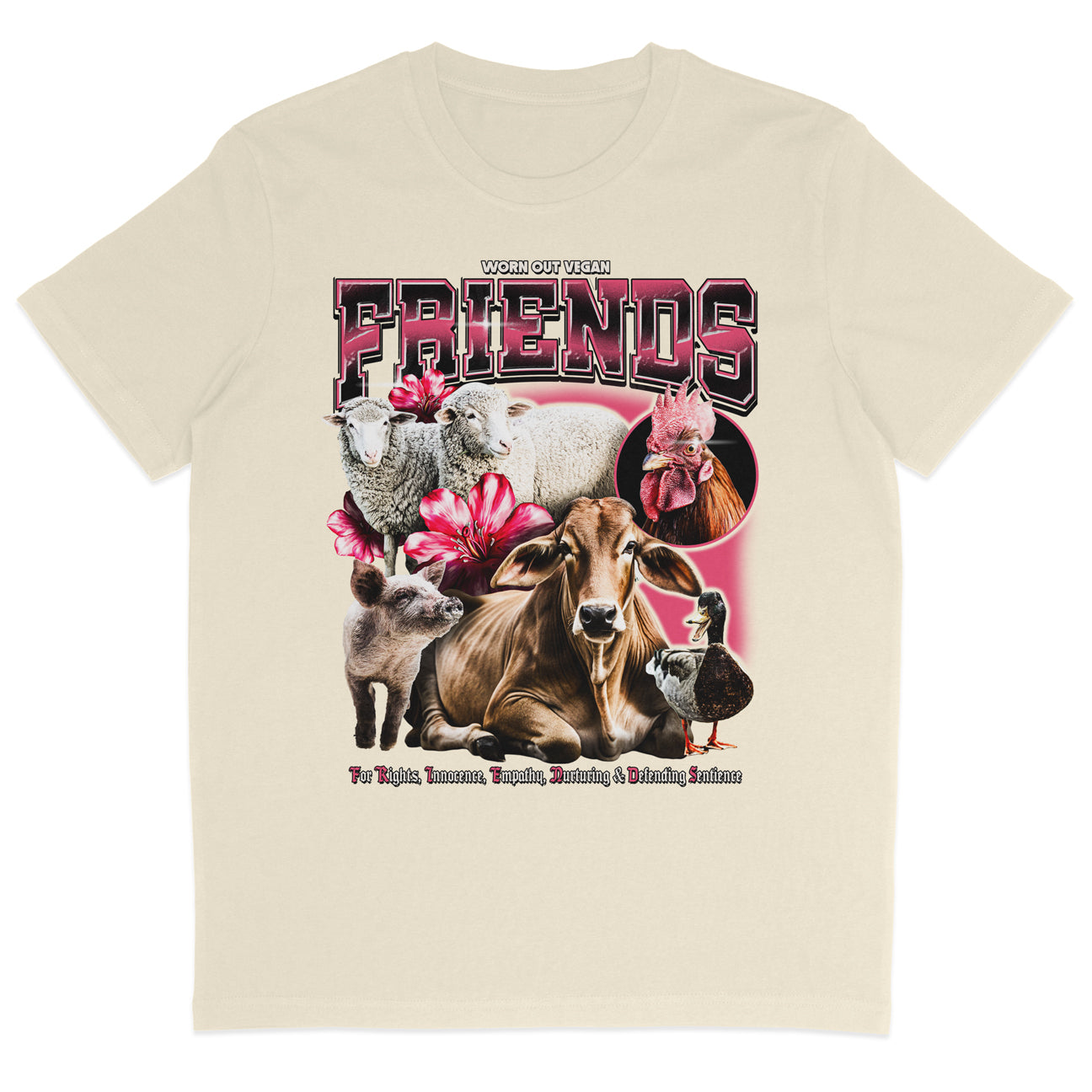 Friends Vintage T-Shirt