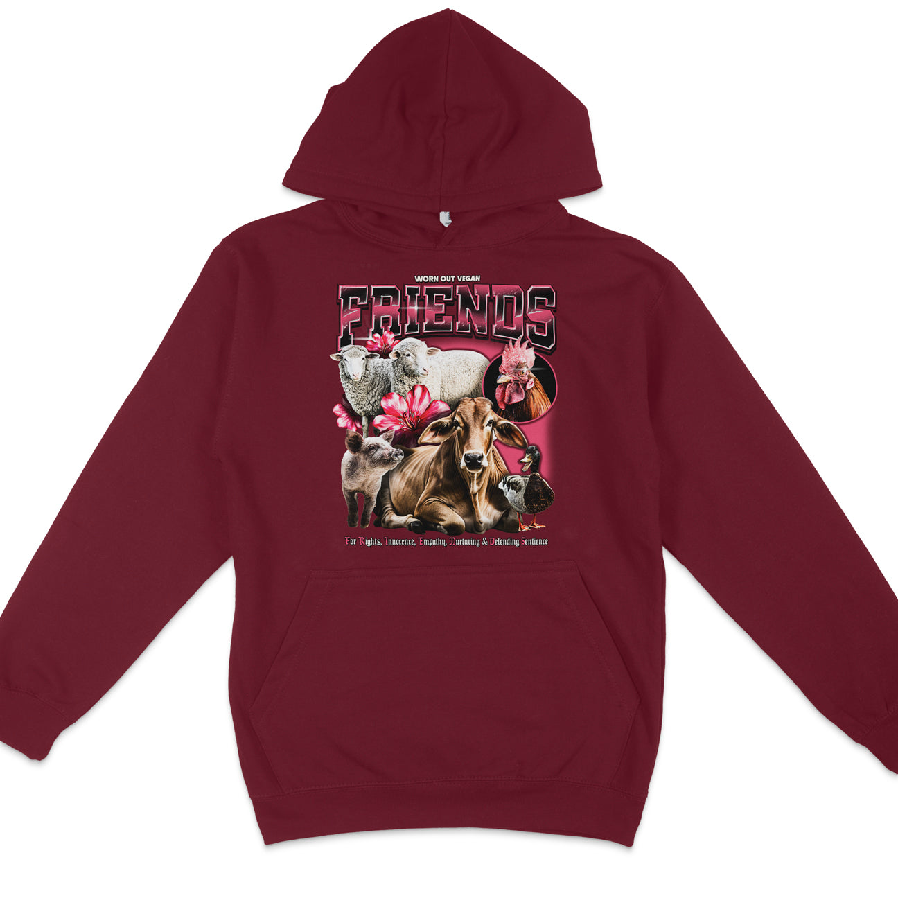 Friends Vintage Hoodie