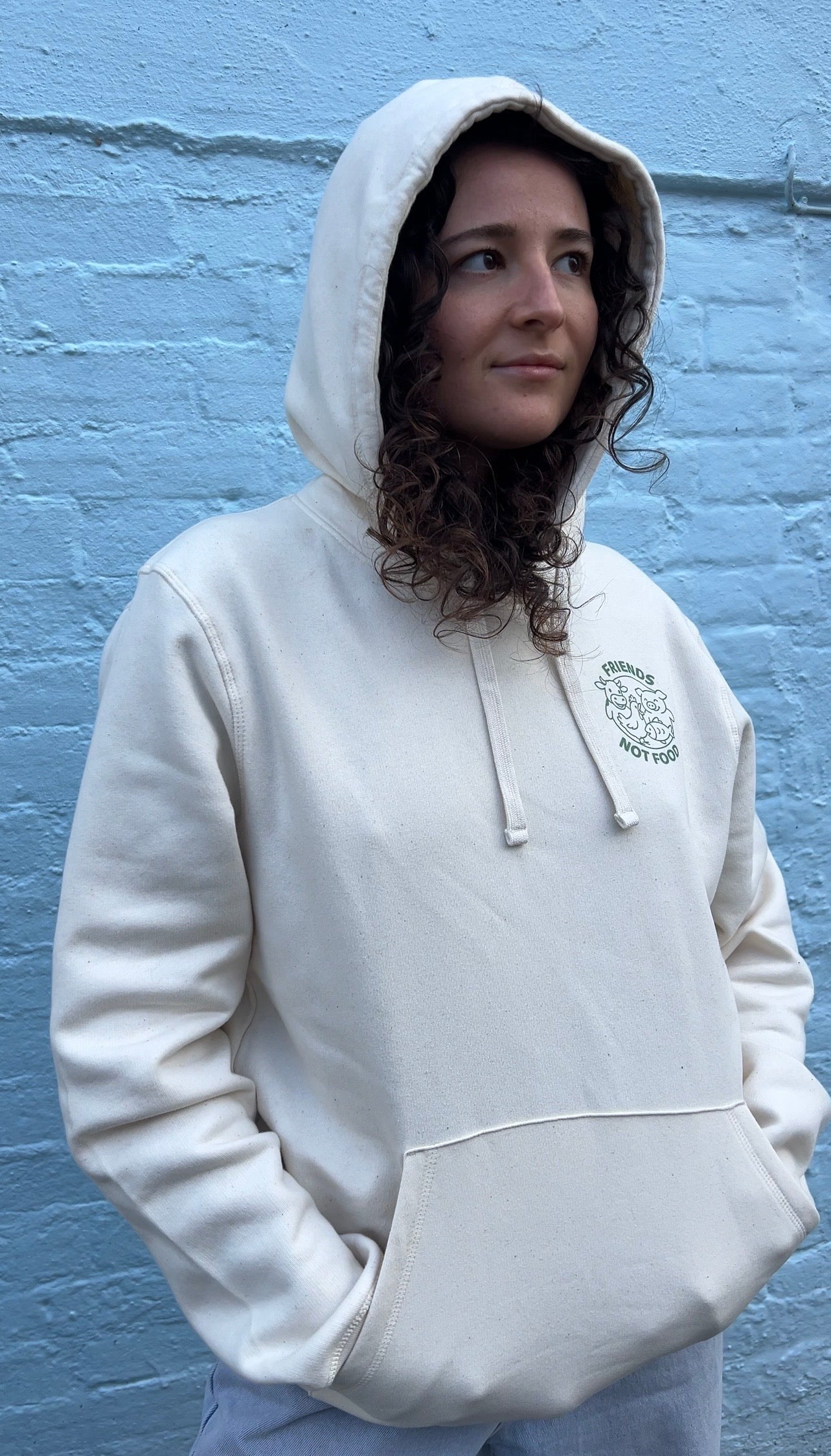 Friends Not Food Hoodie