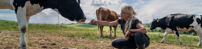 LAV La Casa degli Animali