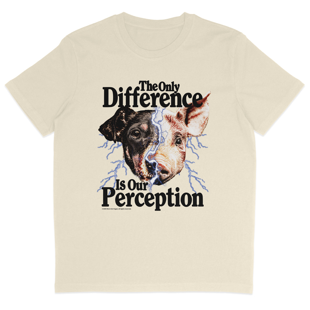 The Only Difference Is Our Perception T-Shirt