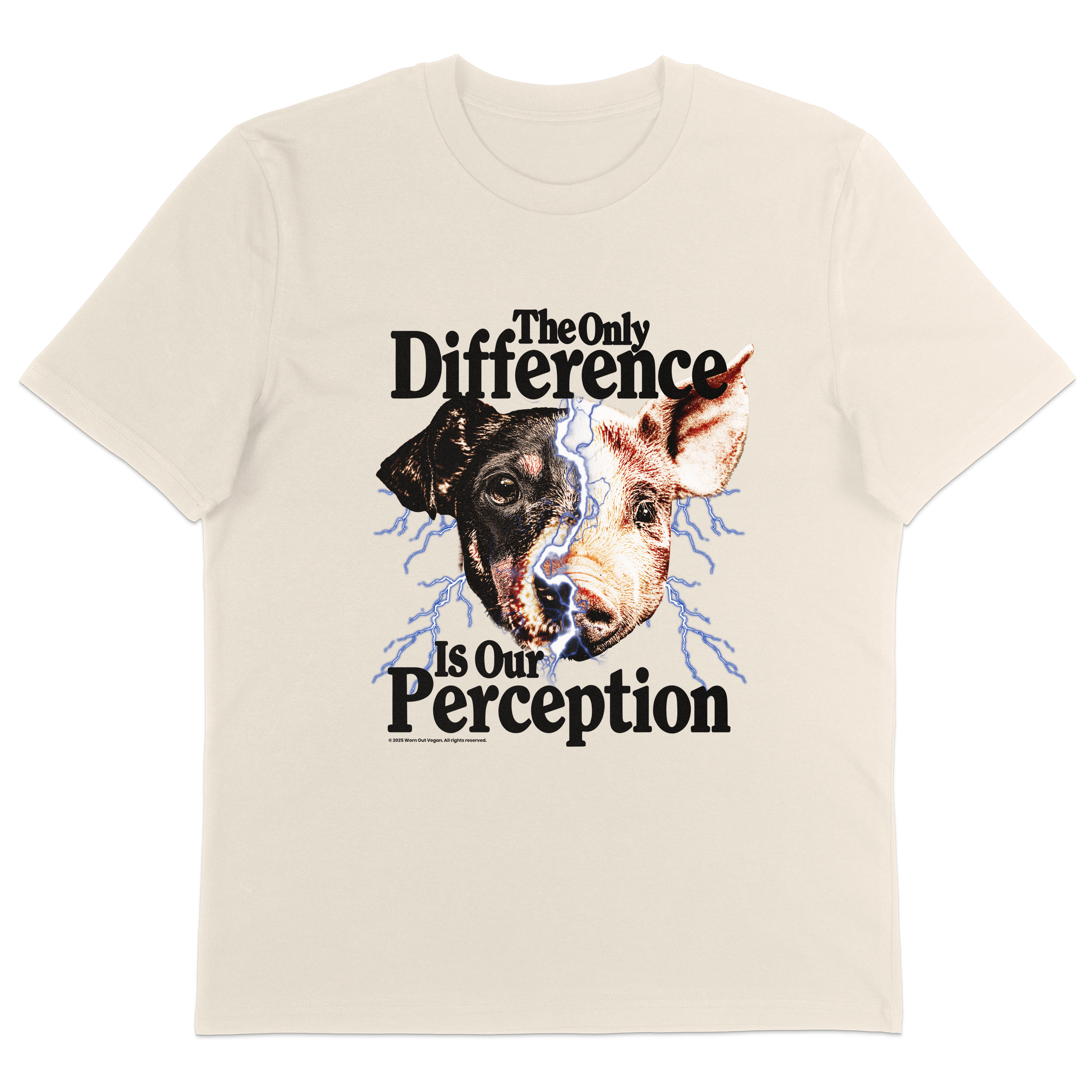 The Only Difference Is Our Perception T-Shirt