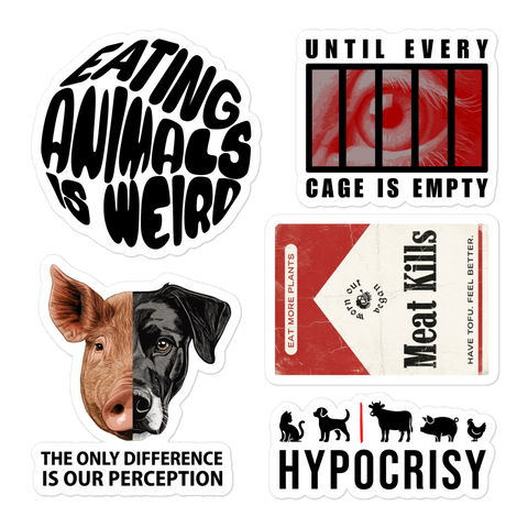 Activism Sticker Sheet