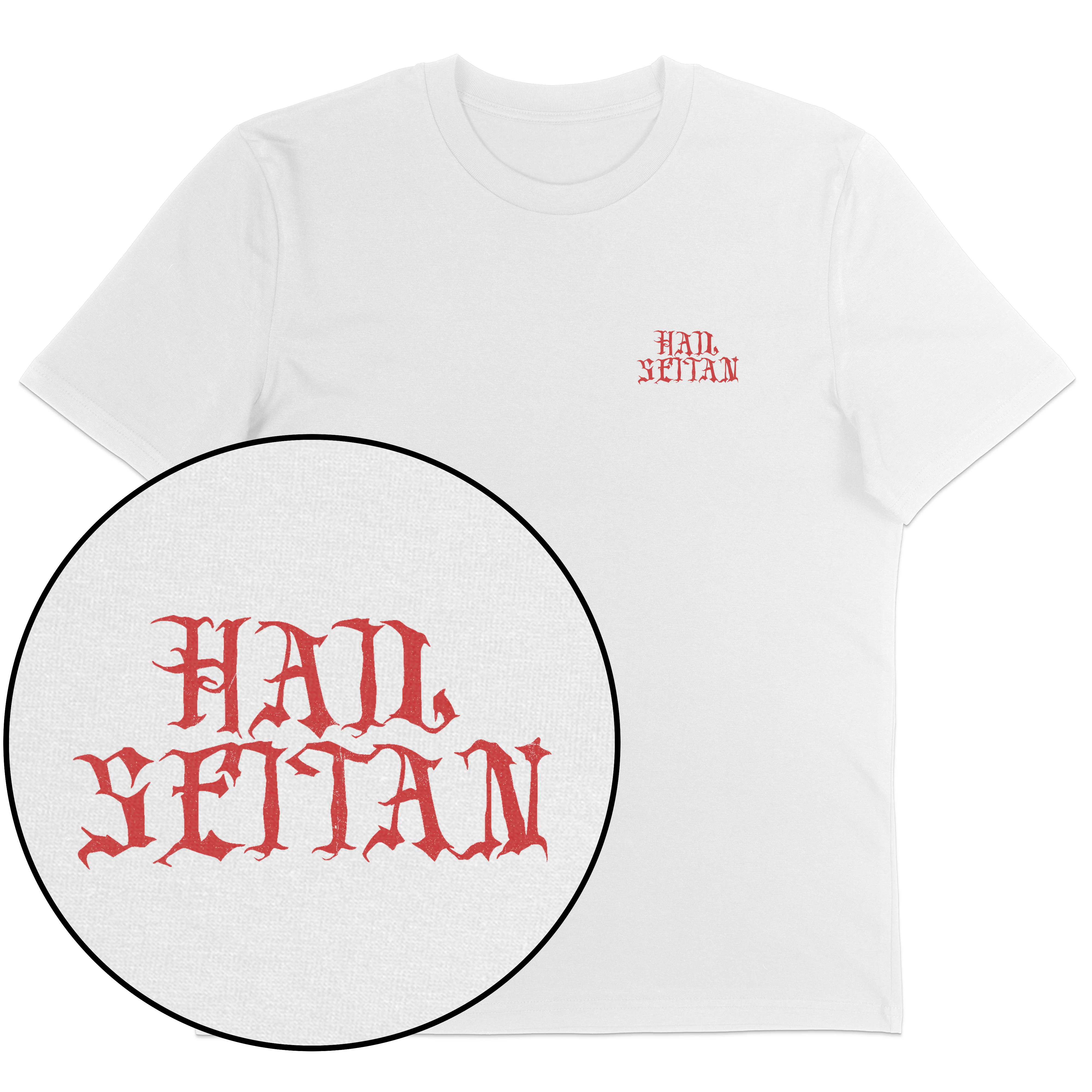 Hail Seitan Streetwear T-Shirt