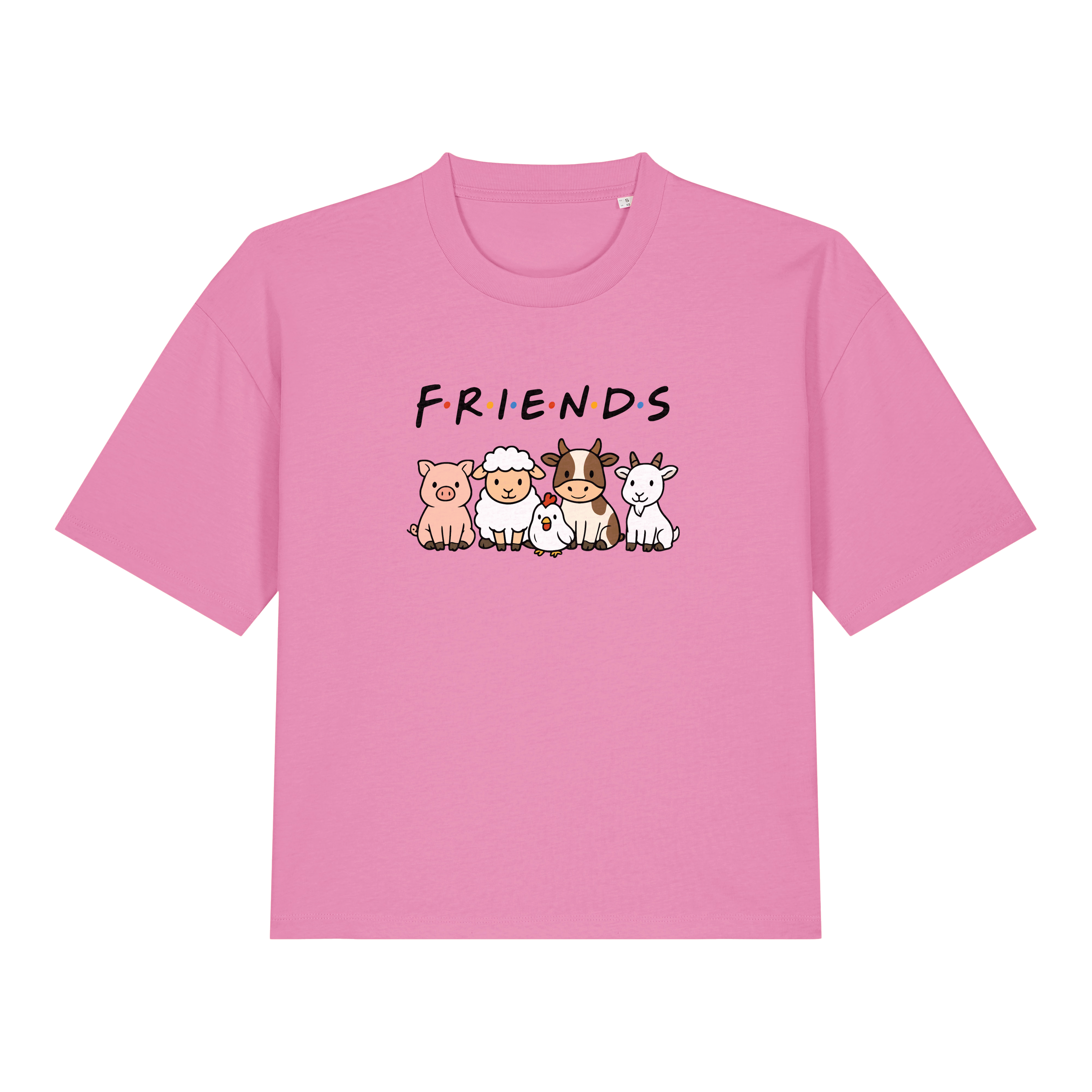 Friends Women's Boxy T-Shirt