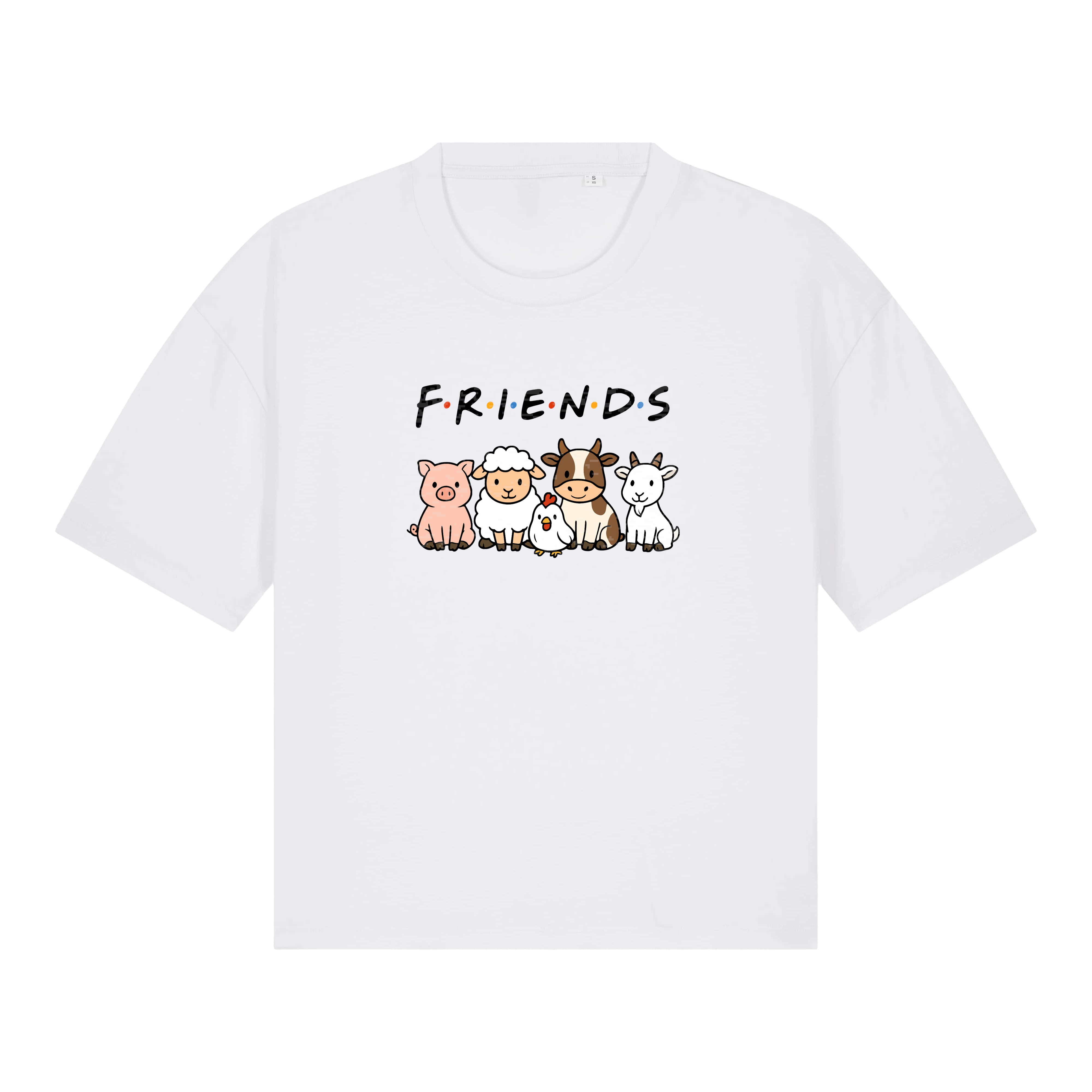 Friends Women's Boxy T-Shirt